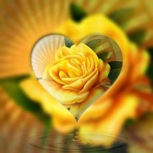 Meet your Posher, Kimberly